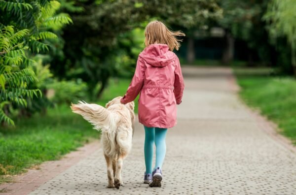 45 Minute Paw Walk. Your Best choice for Boulder Dog Walk.